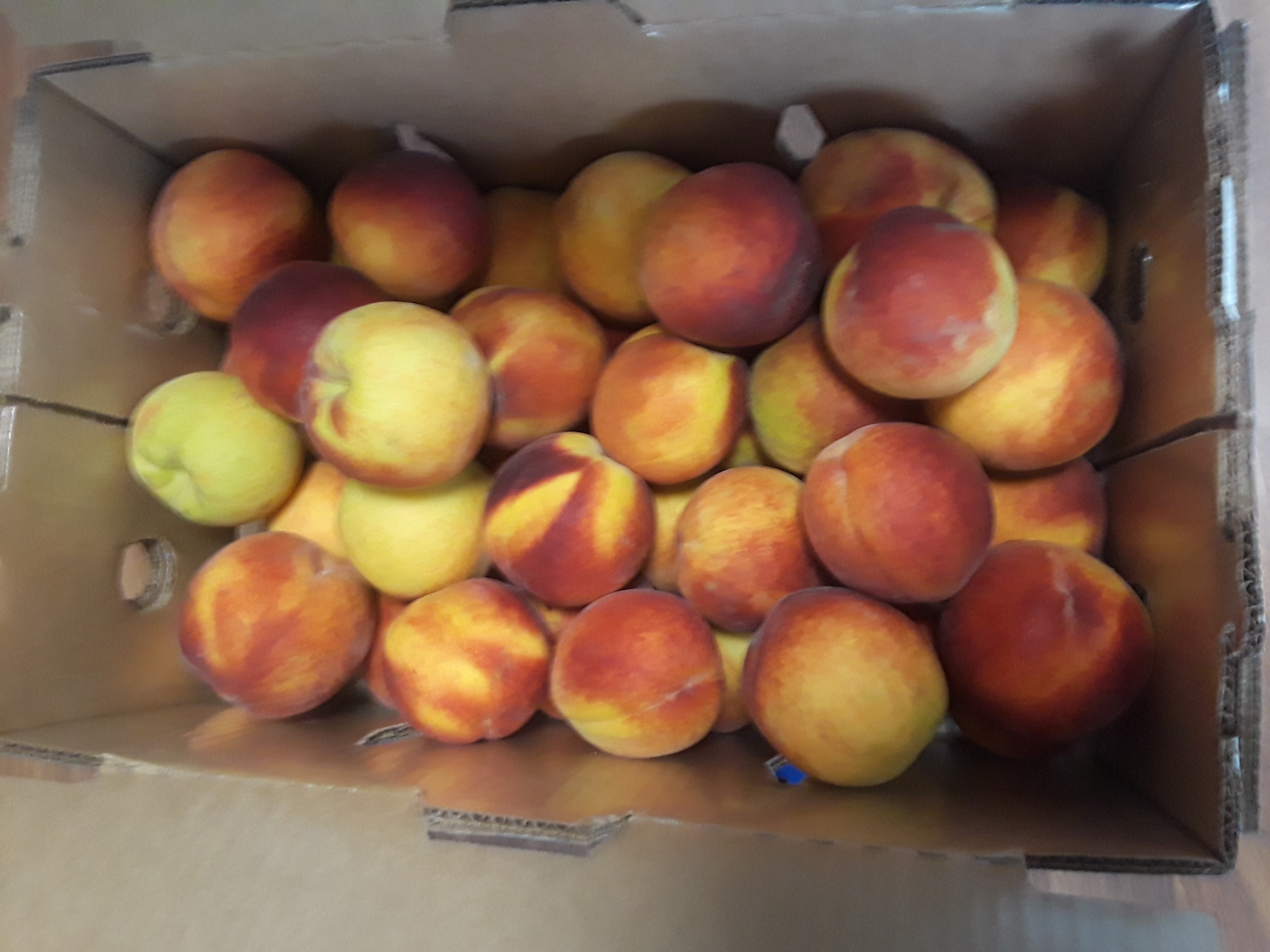 peach truck jam